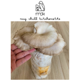 Grey Oyster Mushroom Grow Kit | By My Chill Kitchenette